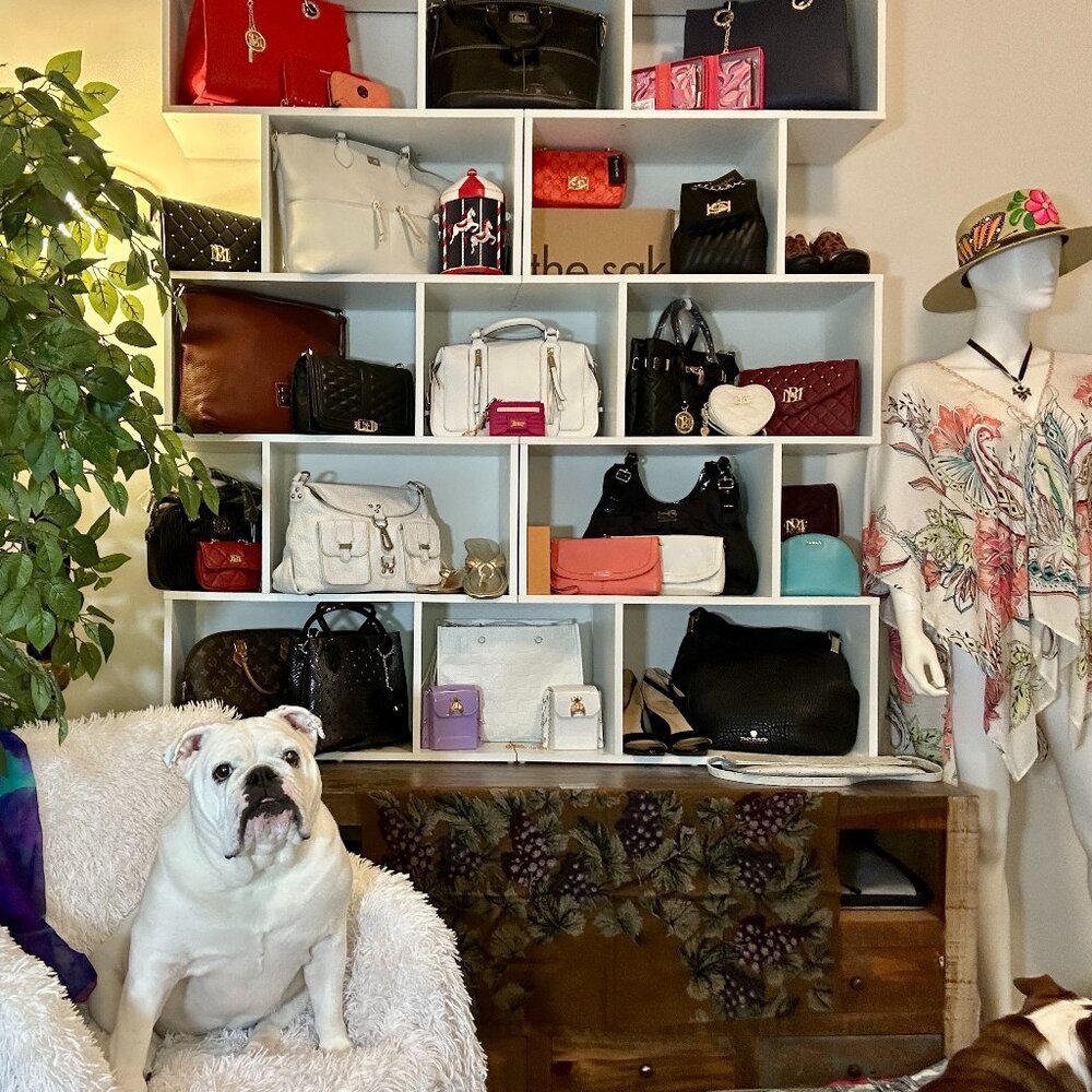 Bougie Bella's Live Show Flyer 🐶💜 - Picture 5 of 14